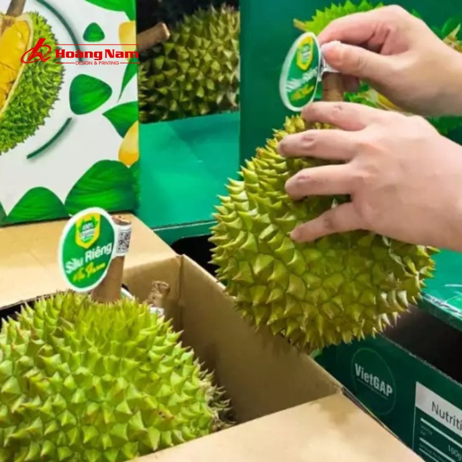 quy trình đặt tem dán cuống sầu riêng tại in hoàng nam sài gòn inhnsaigon.com