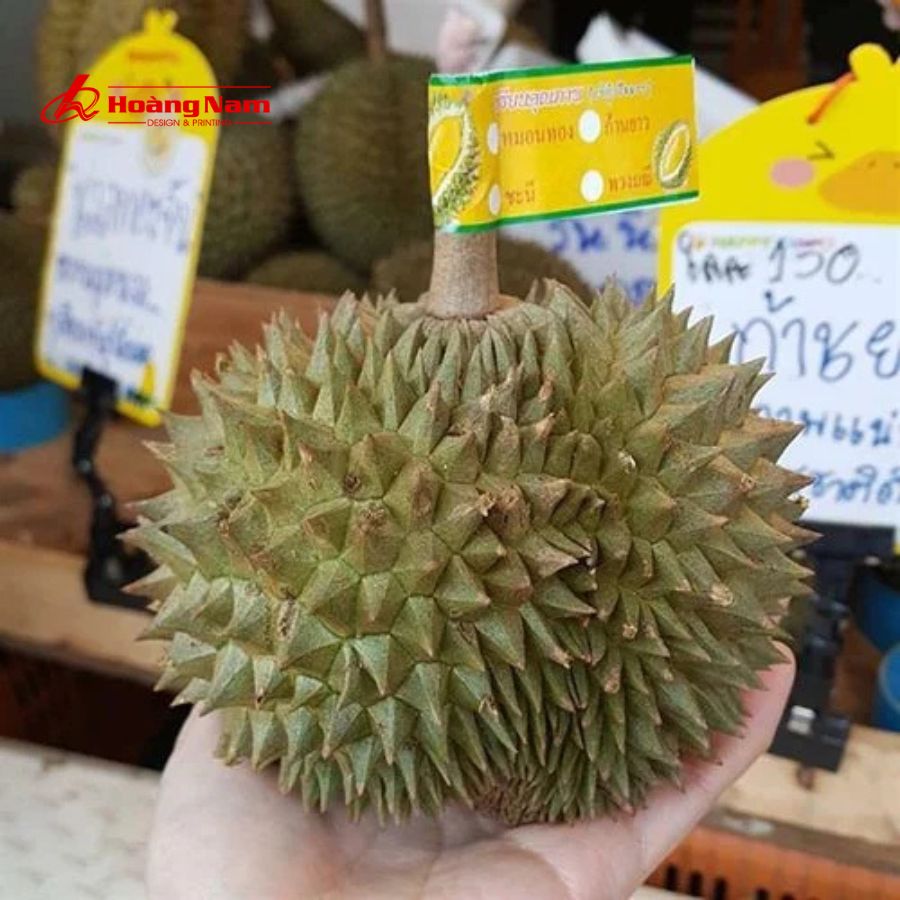quy trình đặt tem dán cuống sầu riêng tại in hoàng nam sài gòn inhnsaigon.com